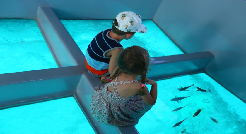 Tours y Excursiones El Barco de Cristal en Sharm El Sheikh
