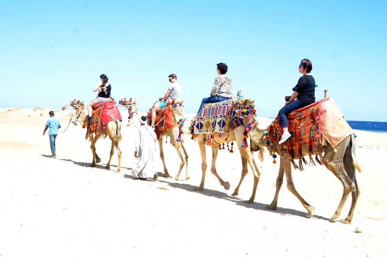 El Gouna tours to safari desert