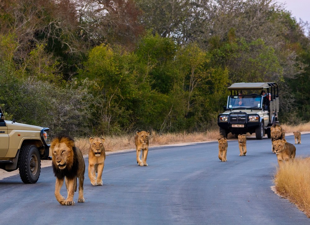 3 Days Camping Safaris