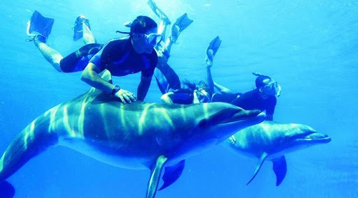 Cairo & Marsa Alam Cheap Holidays