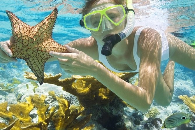 Cairo,Nile cruise and Dahab tours
