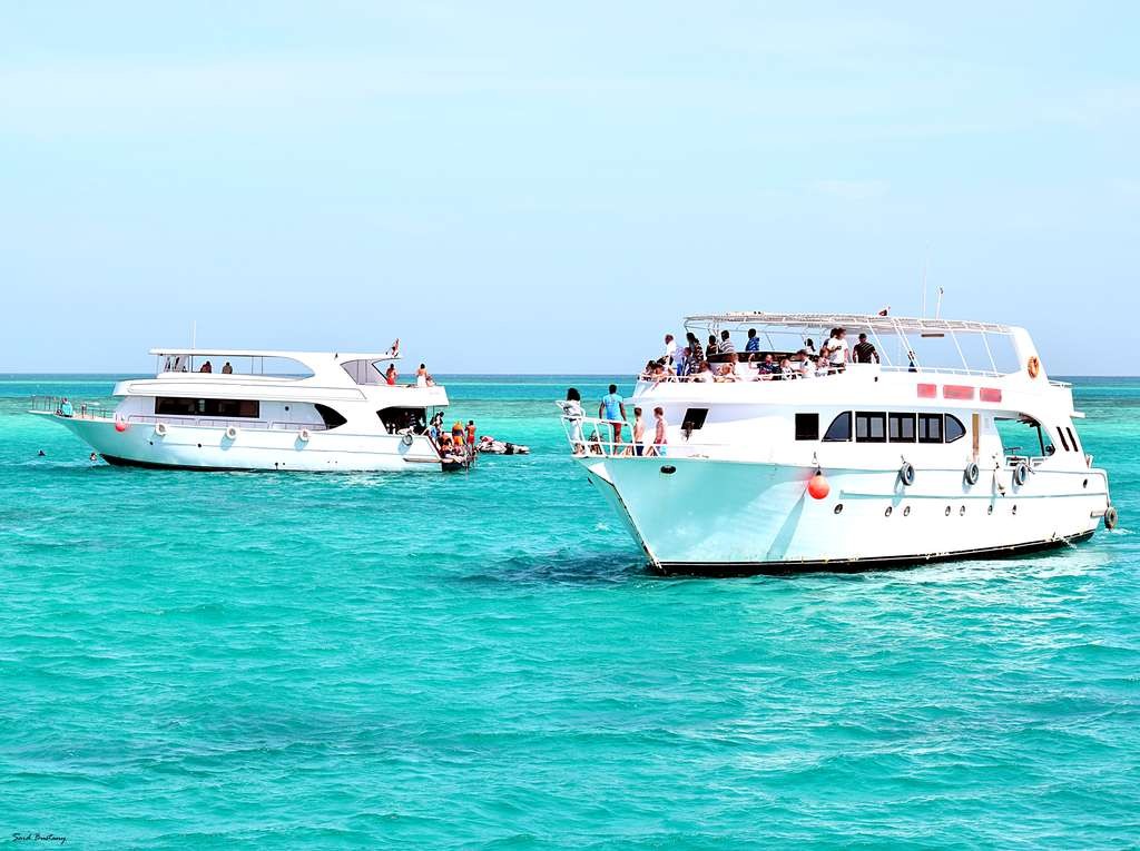 Orange Island Snorkeling Tours in El Gouna