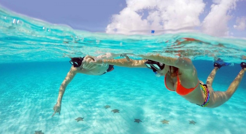 Excursões pela Ilha Giftun saindo de El Gouna