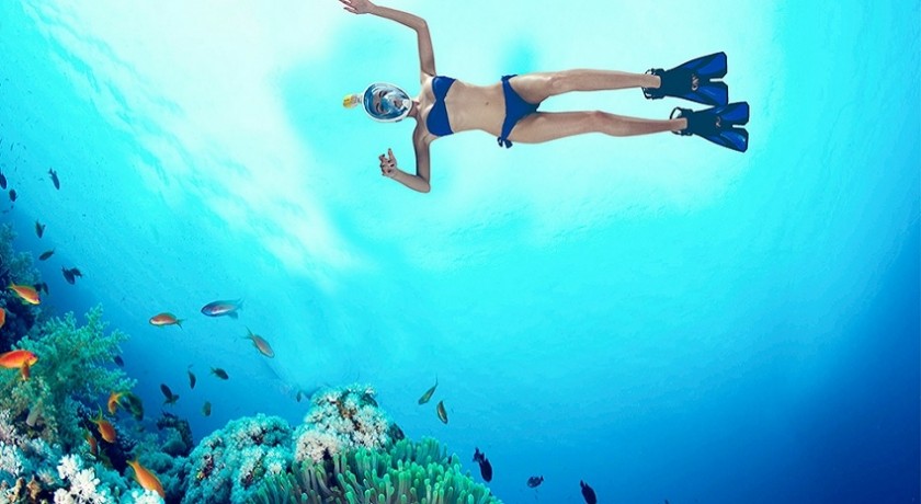 Viagem de mergulho com snorkel na Ilha Orange