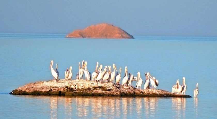 Eugenie Cruzeiro no Lago Nasser