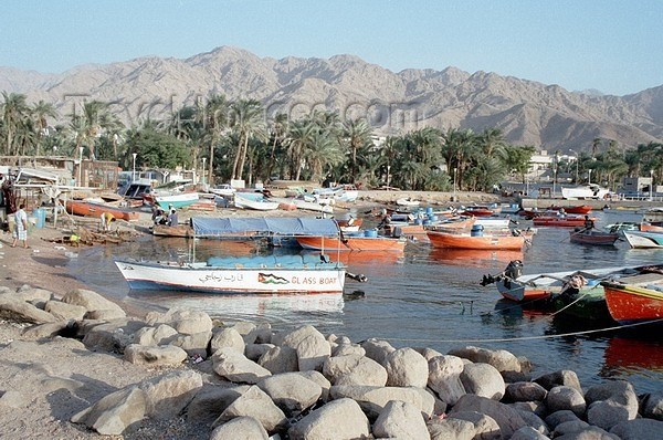 Tours de Esnorquel en Aqaba desde Taba