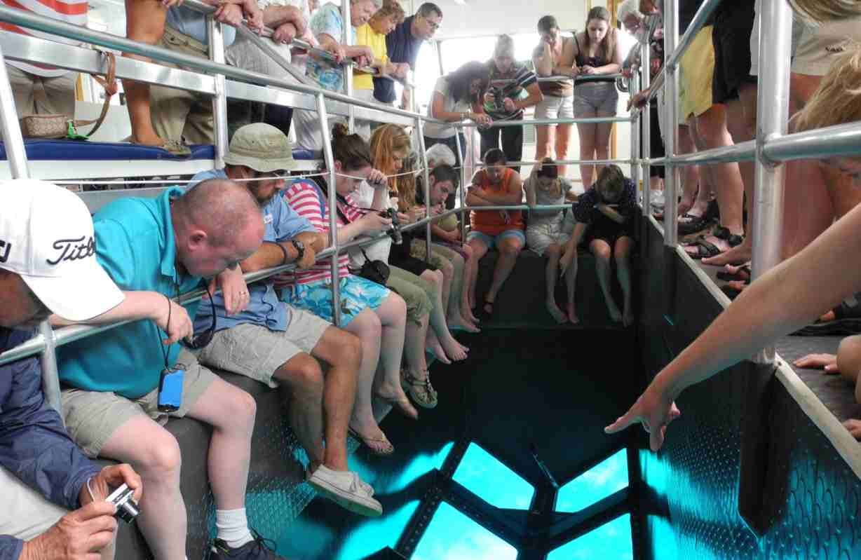Glass Bottom boat Tours in Sharm El Sheikh