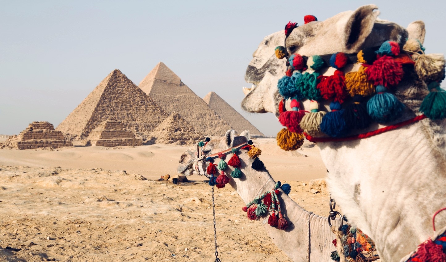 Cairo Tours from Aswan by Plane