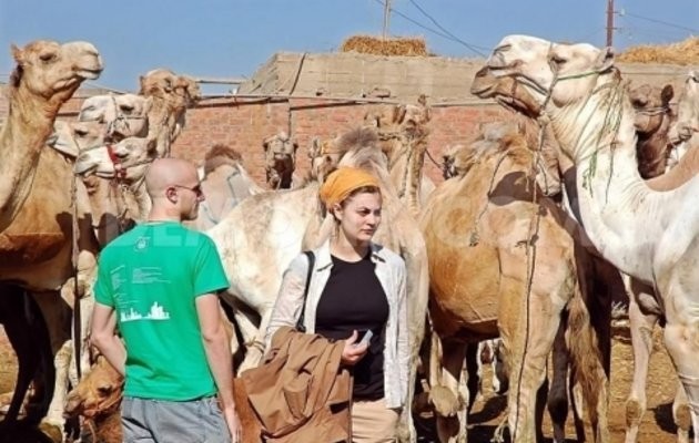Excursión el mercado de camellos de Birqash