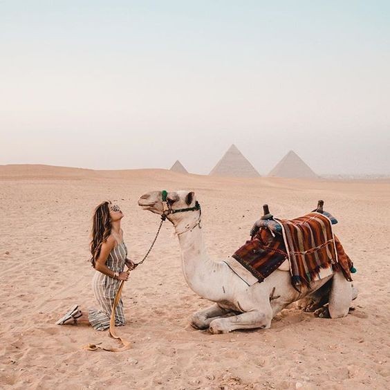 Camel & Horse Ride around the Pyramids