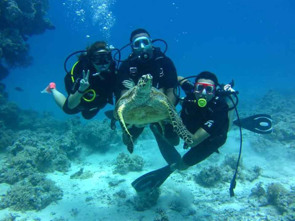 Sharm El Luli snorkeling tours
