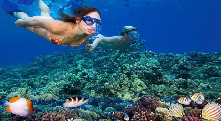 Viajes Marsa Alam y El Cairo Excursiones