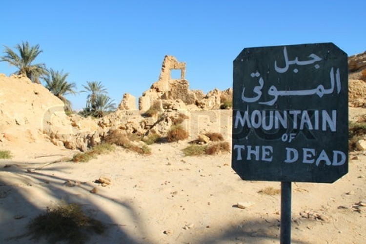 Cairo, Alexandria and Siwa Oasis Tour - Egypt Safari Tours