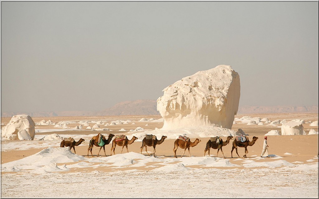 Adventure Tour in Cairo and Safari Desert