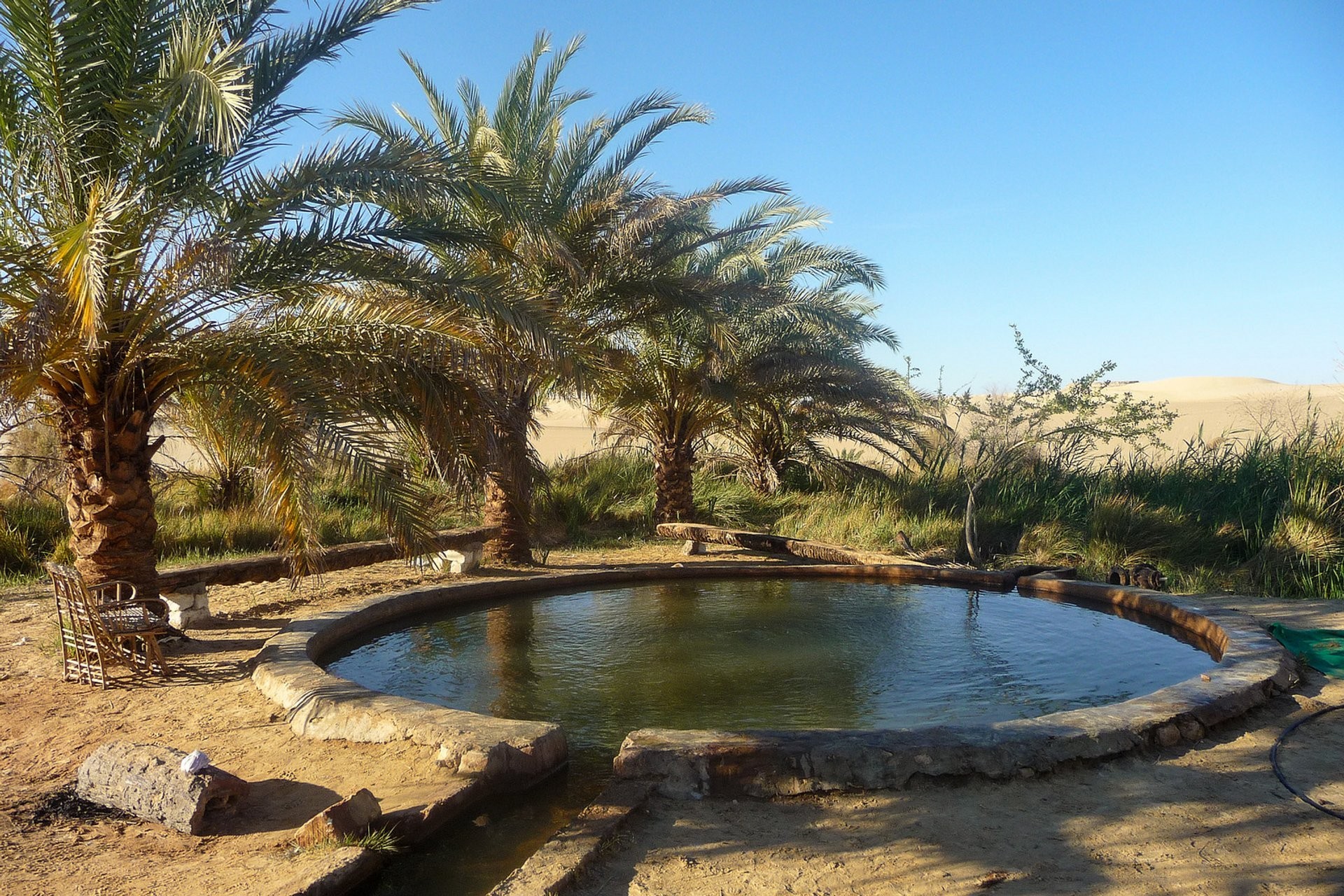 Cairo, Alexandria and Siwa Oasis Tour - Egypt Safari Tours