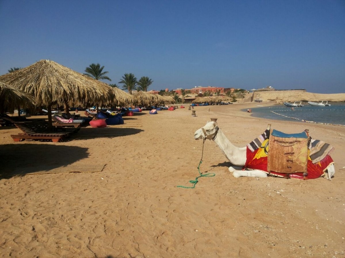 Sharm el naga desde Hurghada