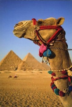 Tours El Cairo en Dos Días desde Dahab en avión