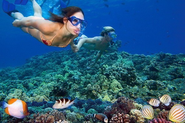 Esnórquel Tour en Port Ghalib desde Marsa Alam