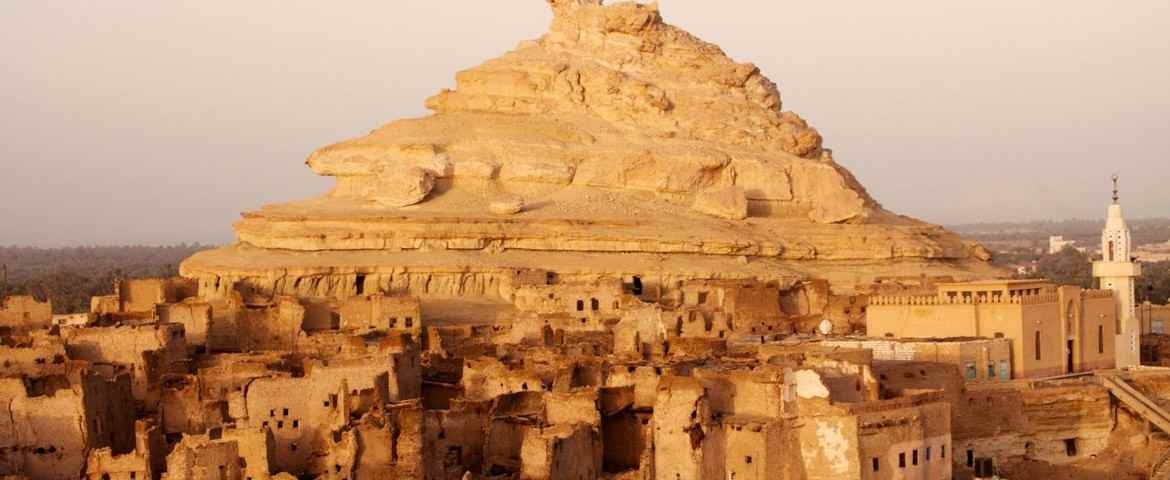 Cairo, Nile Cruise and safari tour Package