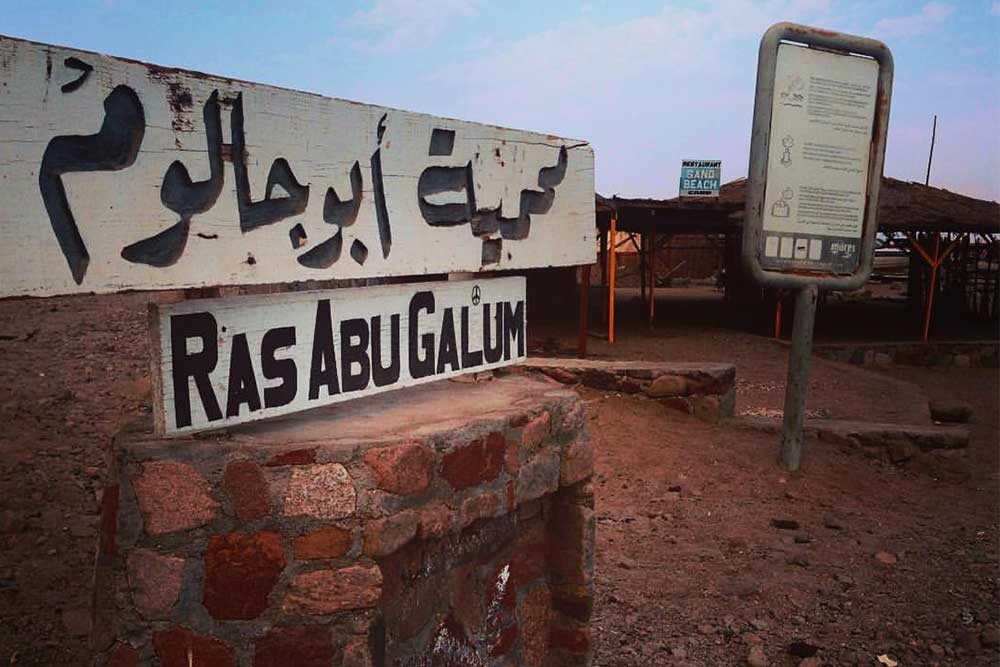 Abu Galum Safari Tours from Sharm El Sheikh