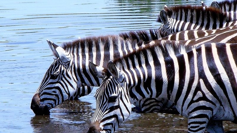 Lake Manyara and Ngorongoro Crater