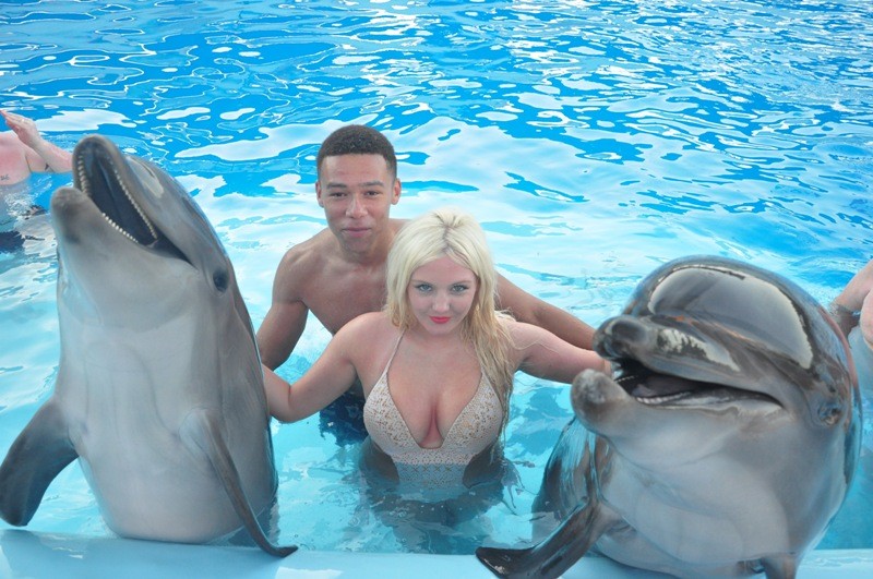 Dahab Tours to Dolphin Show