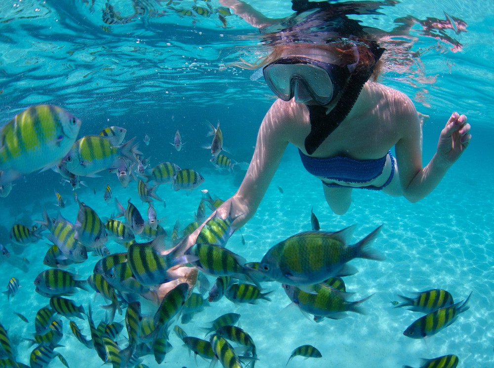 Three Pools Snorkeling Tours in Dahab
