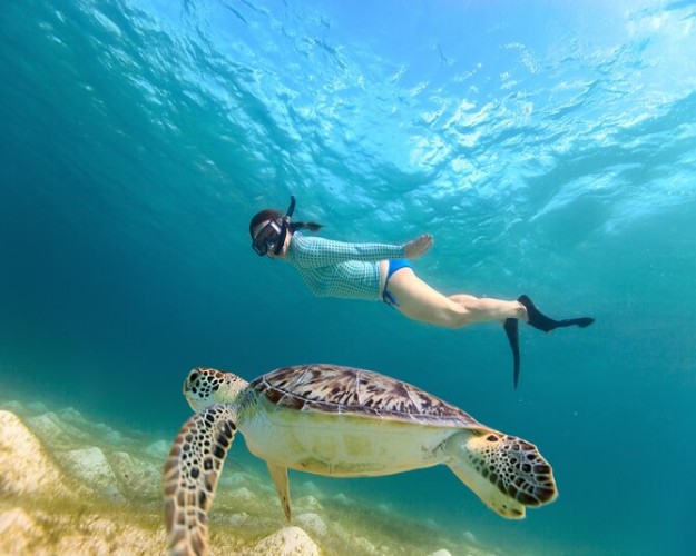 Excursión de esnórquel en la isla de Hamata , Marsa Alam