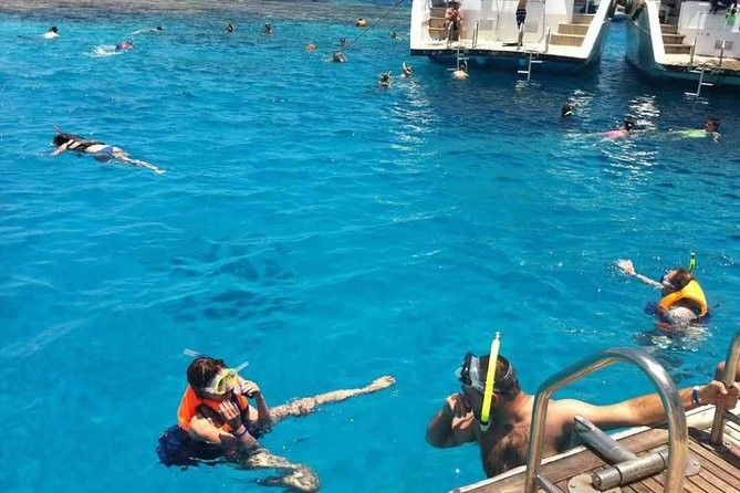 Tiran Island Tours in Sharm El Sheikh