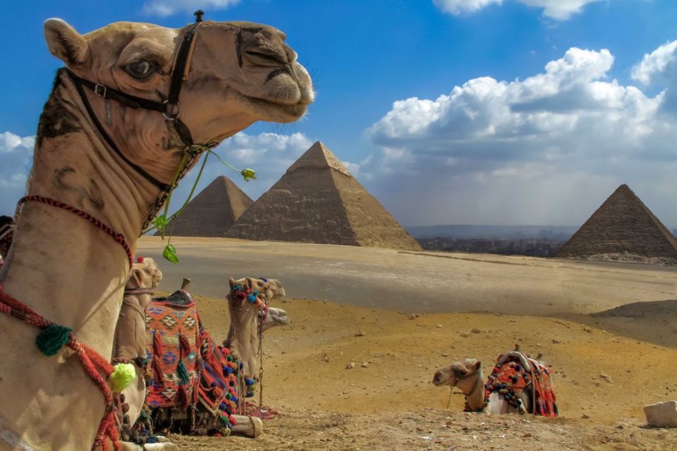 Day Tours to Pyramids, Memphis and Saqqara