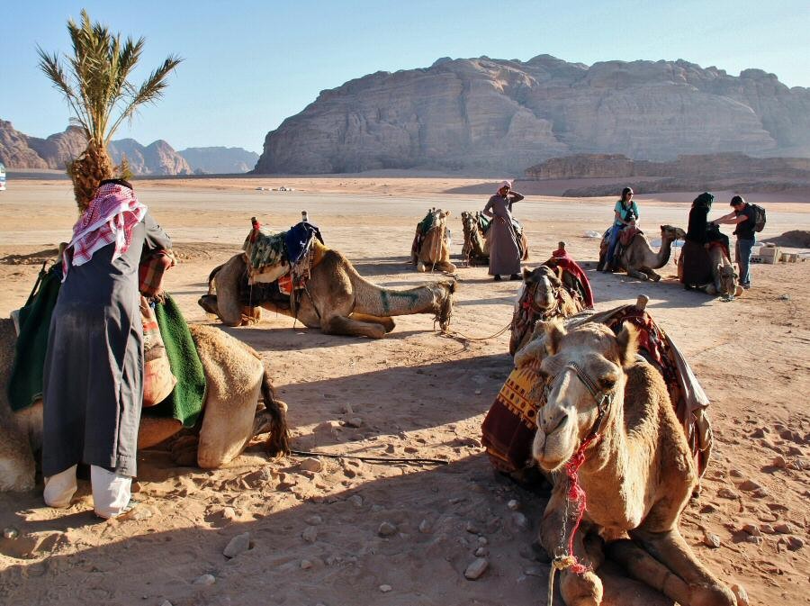 Tours a Petra y Wadi Rum desde Taba
