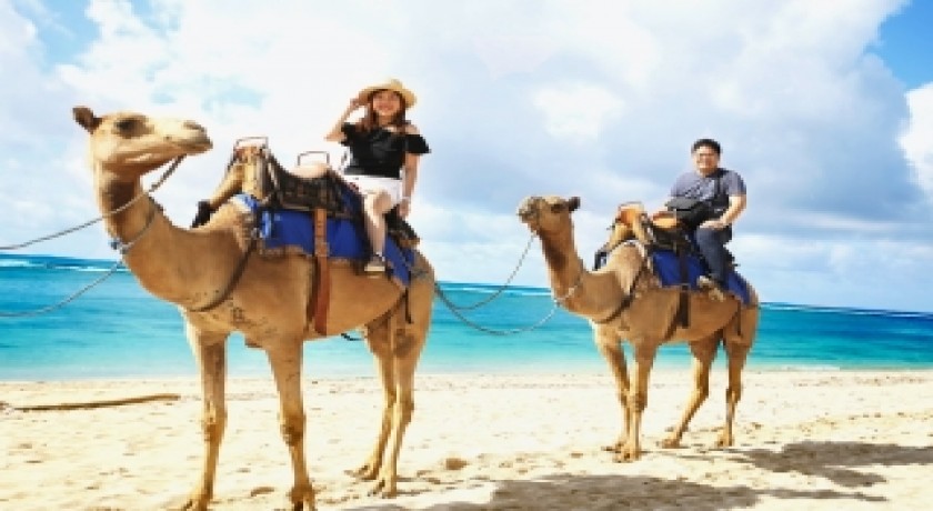 Tours de Esnórquel en El agujero azul en Dahab