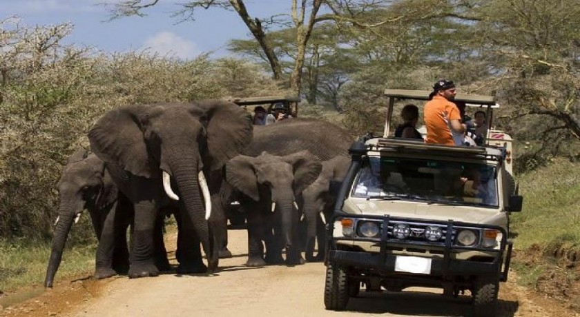 7 Days Safari Camping