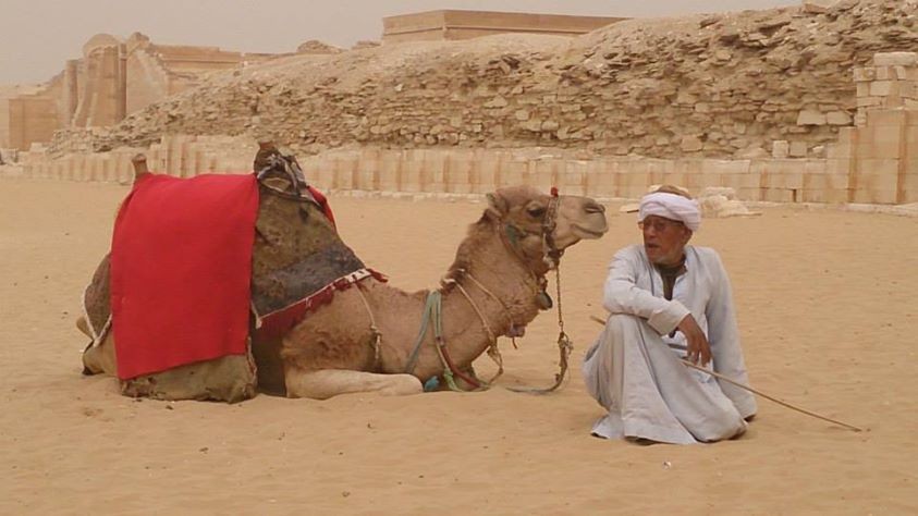 Excursión el mercado de camellos de Birqash