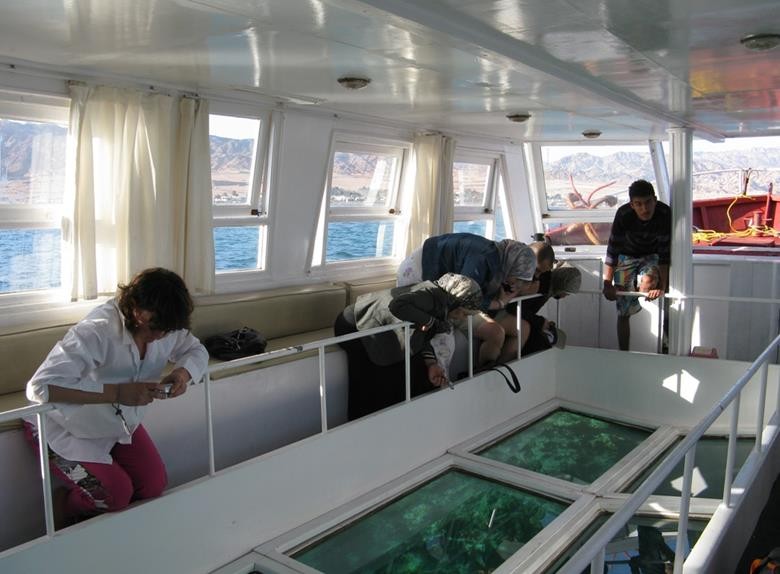 Glass Bottom Tours from Dahab