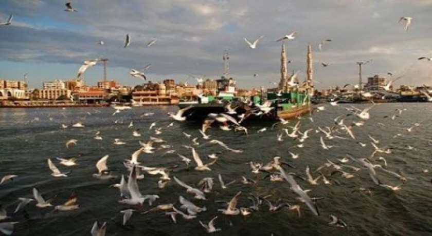 Tours EL Cario del puerto de Alejandría a Port Said