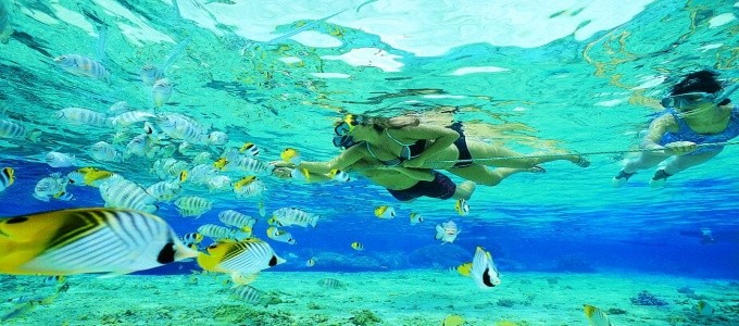 Snorkeling Tours from Safaga Port