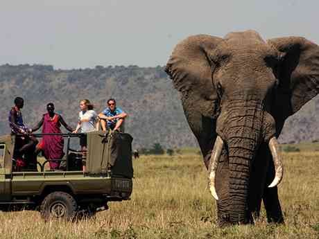 Northern Kenya Safari & Wildlife Holiday Packages