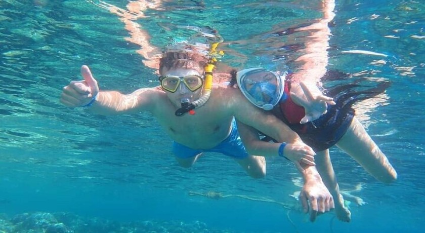 Swim With Dolphins Excursion in Sharm el Sheikh