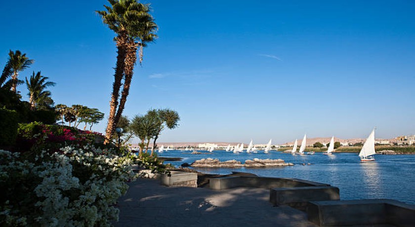 Tours de Felucca en Asuán