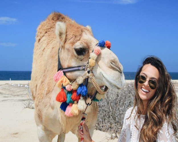 Viajes El Cairo, Alejandria y Hurghada