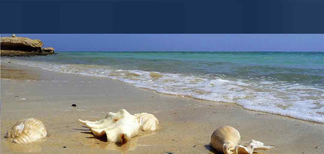 Excursión a El Quseir desde Marsa Alam