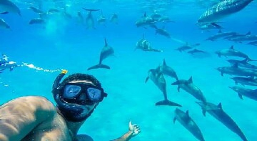 Excursiones Nadar con Delfines en Hurghada