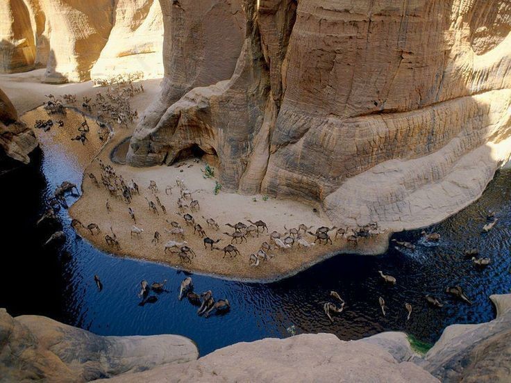 Wadi El Gemal Tours in Marsa Alam