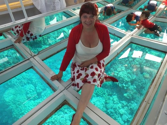 Glass Bottom Tours from Dahab