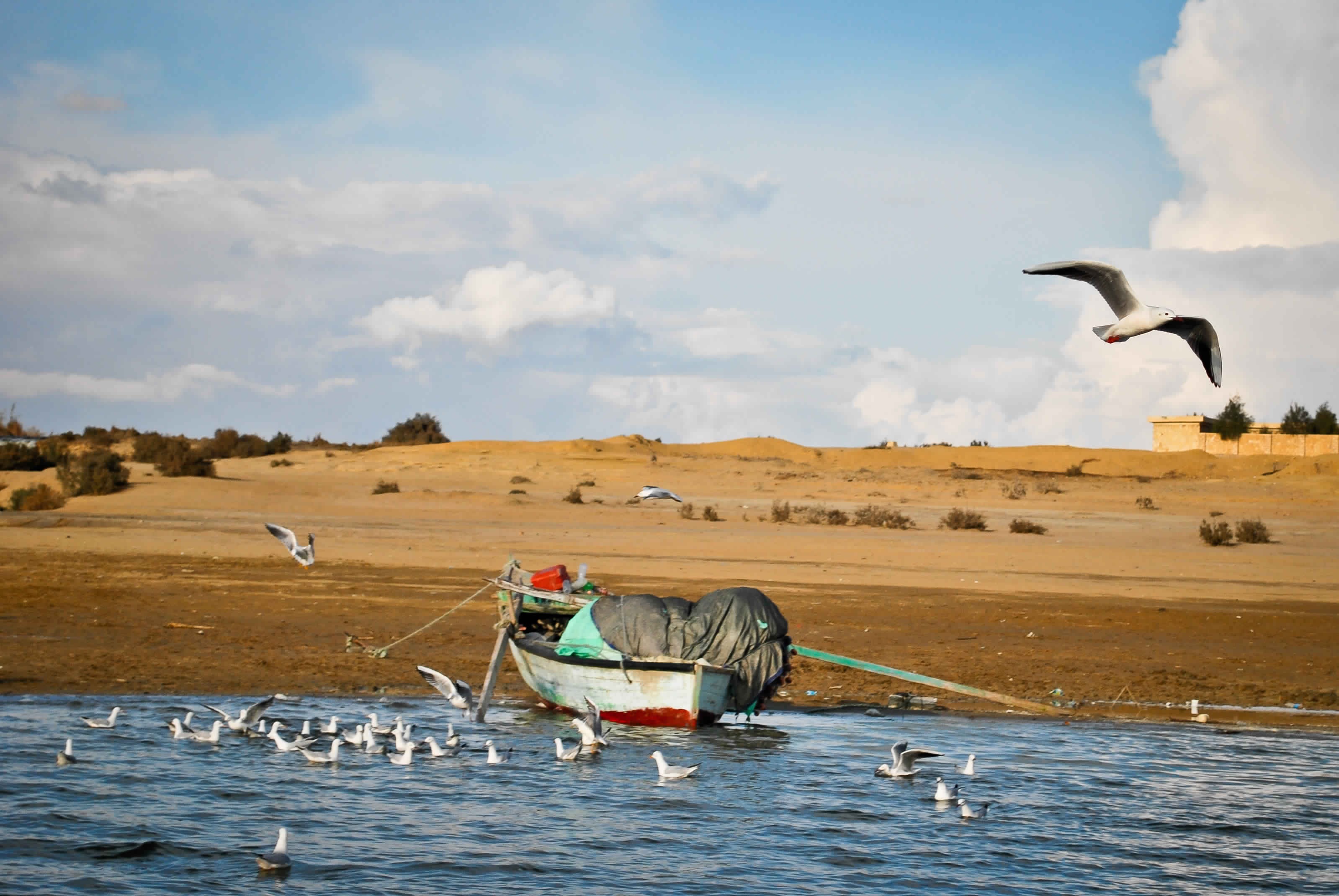 Tours our el fayoum desde el cairo
