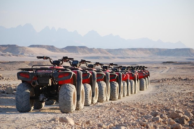 Quad Bike Safari Tours from El Gouna
