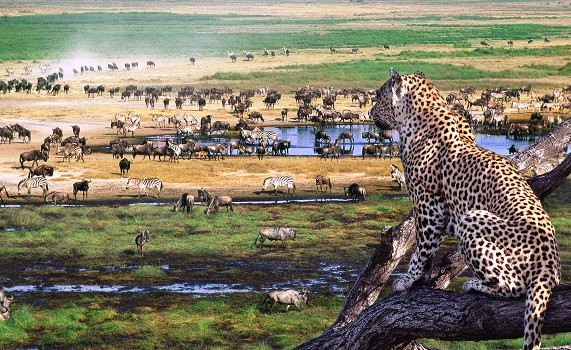 Lake Manyara and Ngorongoro Crater