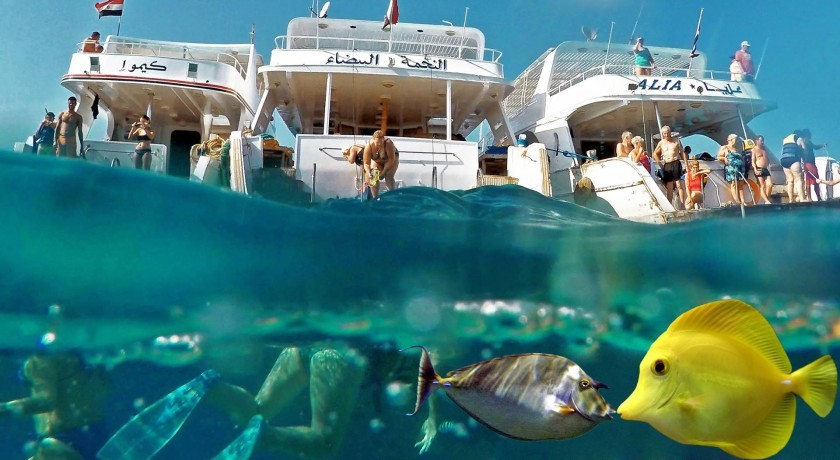 Viajes de Buceo a Hurghada Mar Rojo