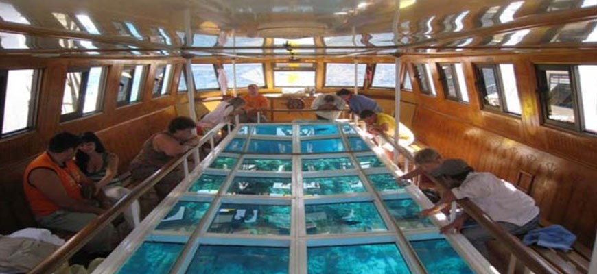 Glass Bottom boat Tours in Sharm El Sheikh